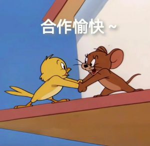真实成交反馈-战狼创富社