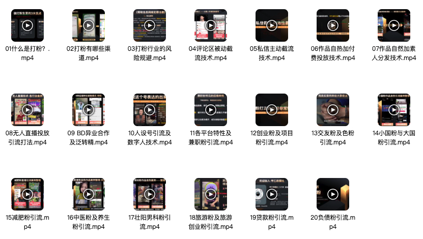 《全行业打粉引流理论+实战系统课》-战狼创富社