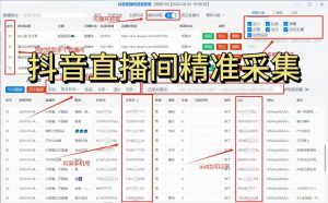 抖音直播间采集截流工具-战狼创富社