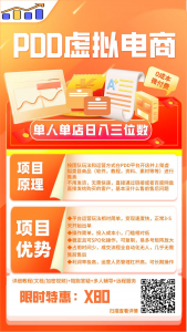 【PDD虚拟电商】单人单店操作，日盈利3位数-战狼创富社