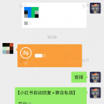 小红书自动回复&聚合私信 +1-战狼创富社